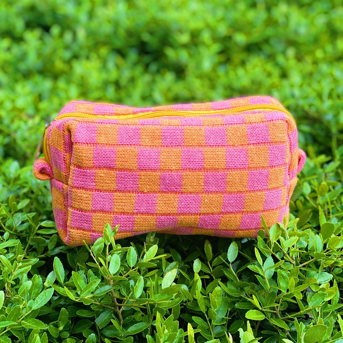Sun Joy Check Yourself Cosmetic Bag